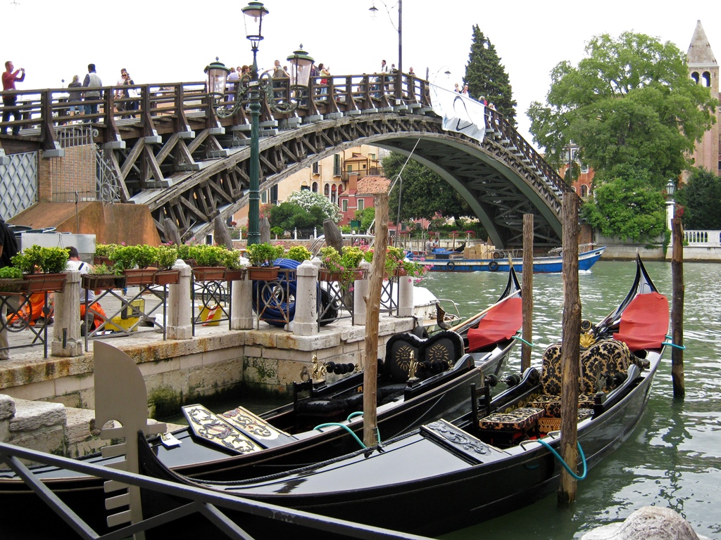 Accademia Bridge and Gondolas
